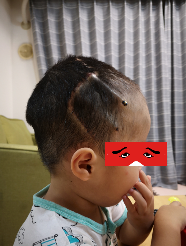 f:id:blooming_climbing:20190814032529p:plain