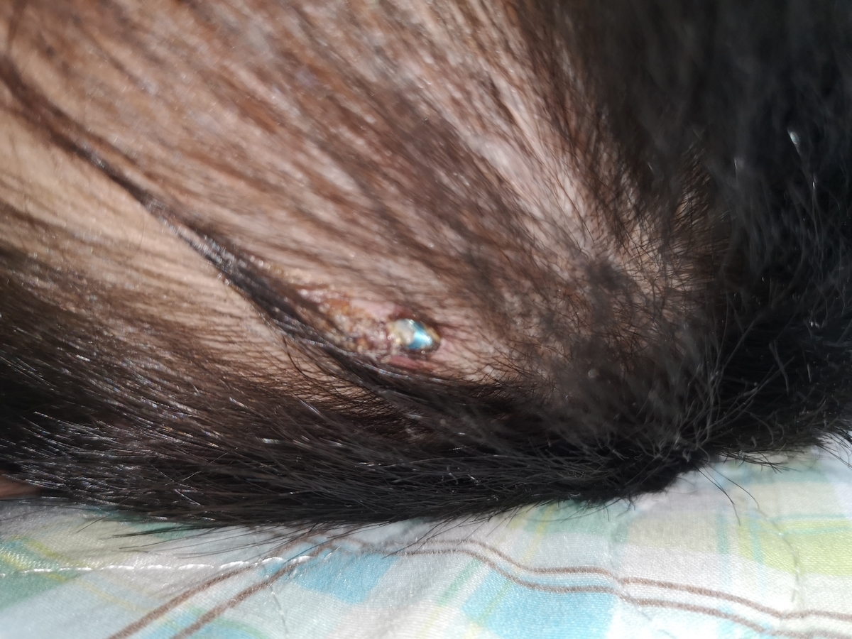 f:id:blooming_climbing:20191001032054j:plain
