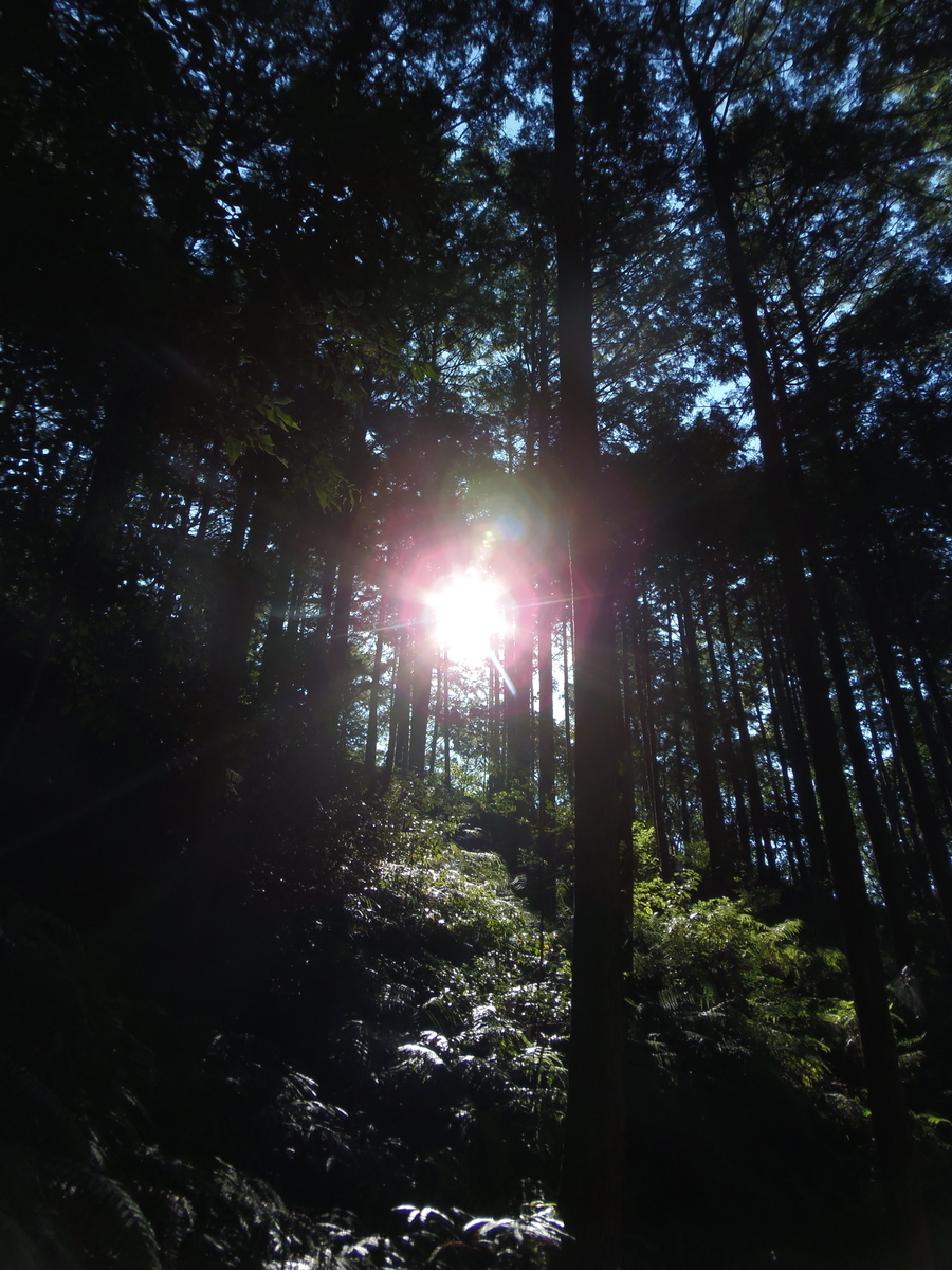 f:id:bloomsphere:20191106134518j:plain