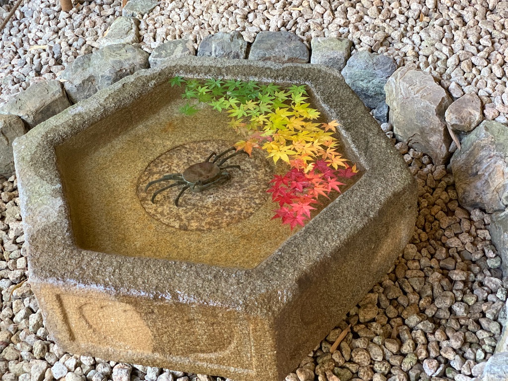 f:id:blossom-art:20191201141357j:image