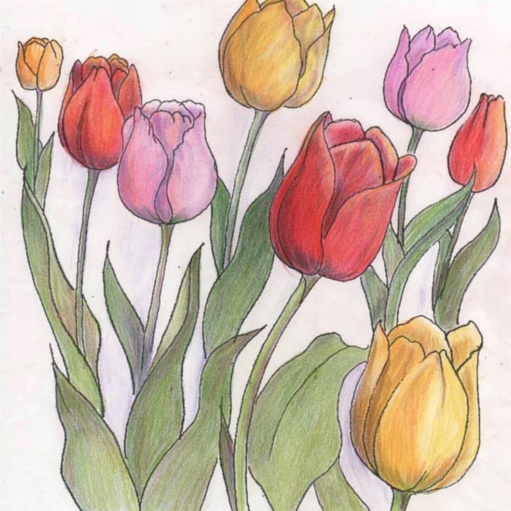 f:id:blossom-art:20200421232314j:image f:id:blossom-art:20200421232314j:image