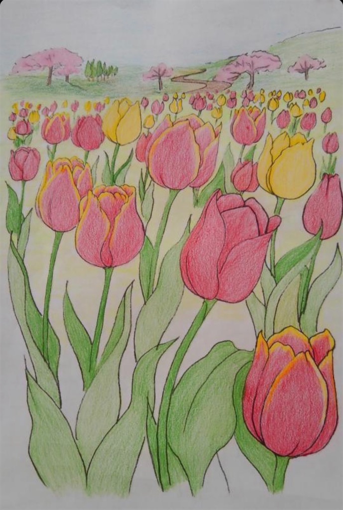 f:id:blossom-art:20200501211128j:image