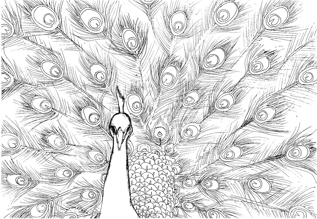 f:id:blossom-art:20200507233438j:image