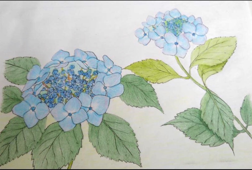 f:id:blossom-art:20200617182811j:image