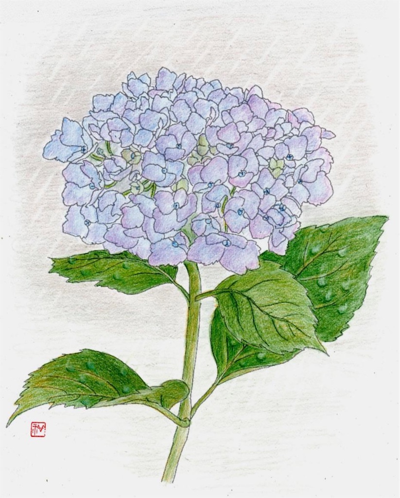 f:id:blossom-art:20200617183637j:image