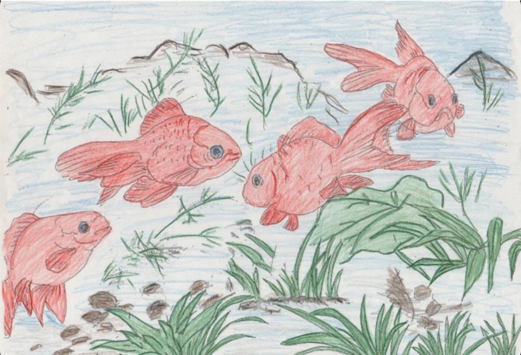 f:id:blossom-art:20200711221053j:image
