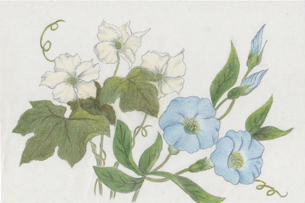 f:id:blossom-art:20200711222113j:image