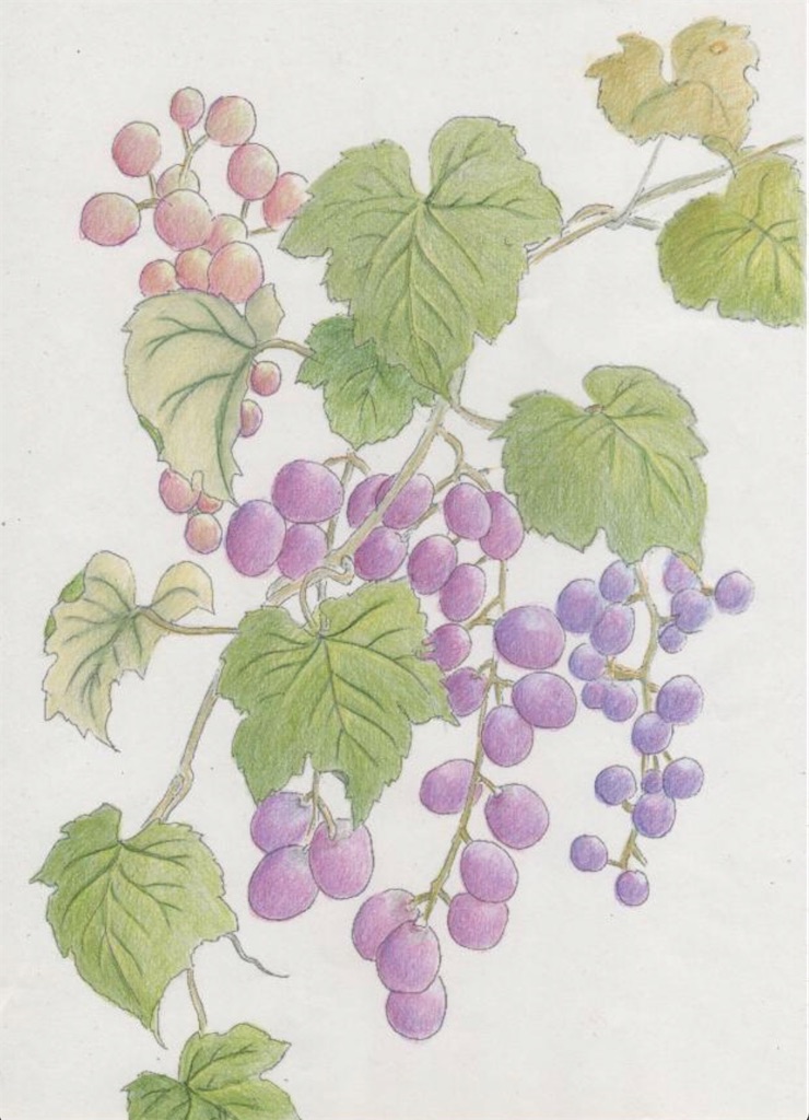 f:id:blossom-art:20200711222150j:image