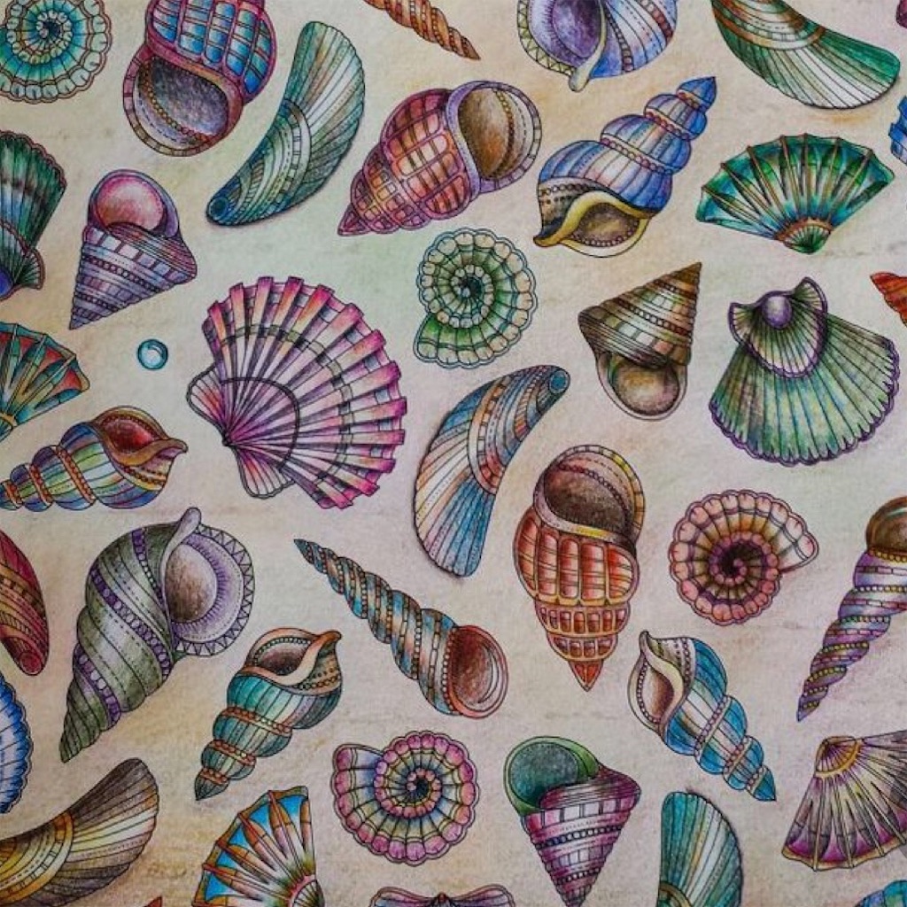 f:id:blossom-art:20200803204316j:image