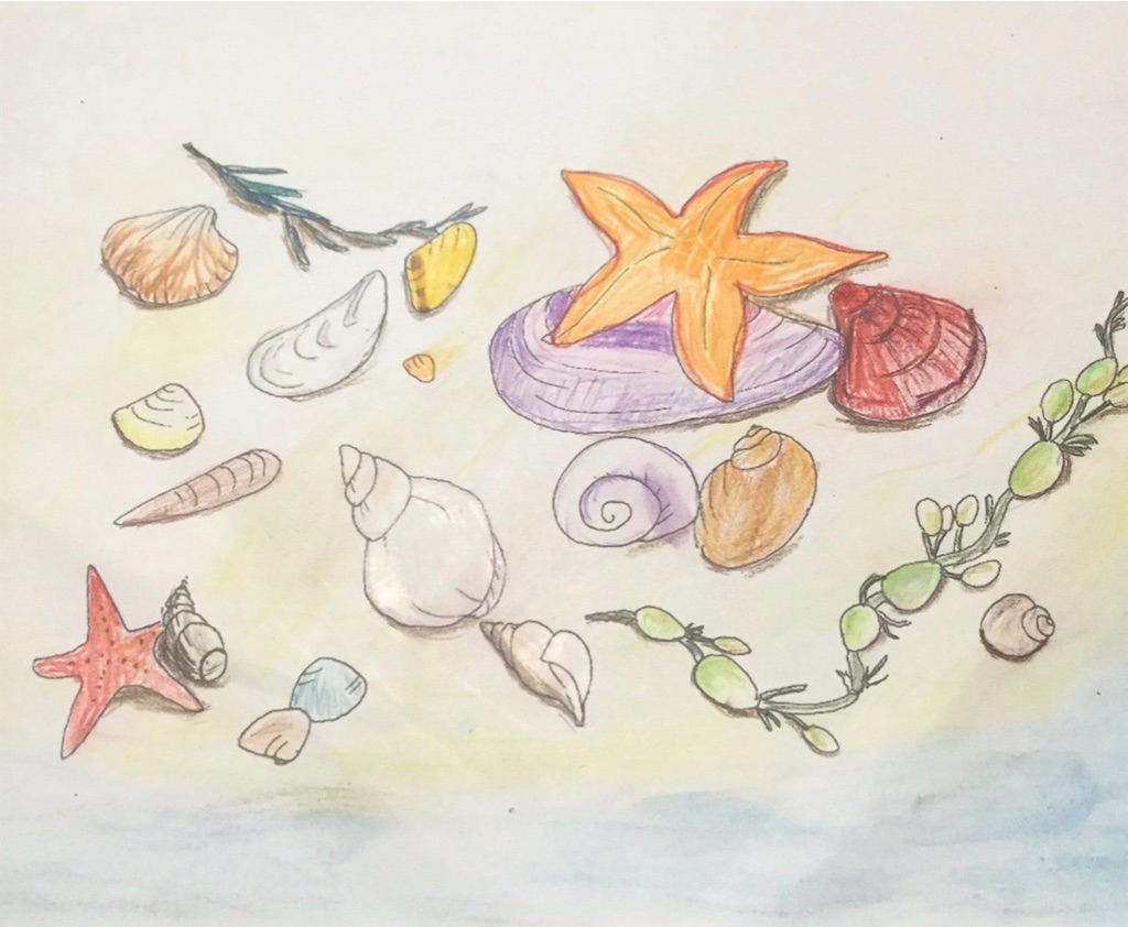 f:id:blossom-art:20200807183732j:image