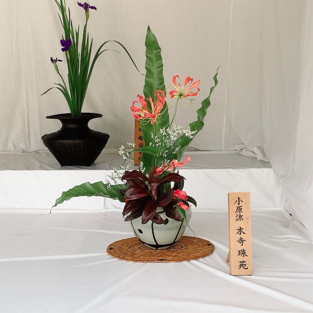 f:id:blossom-art:20200809204717j:image