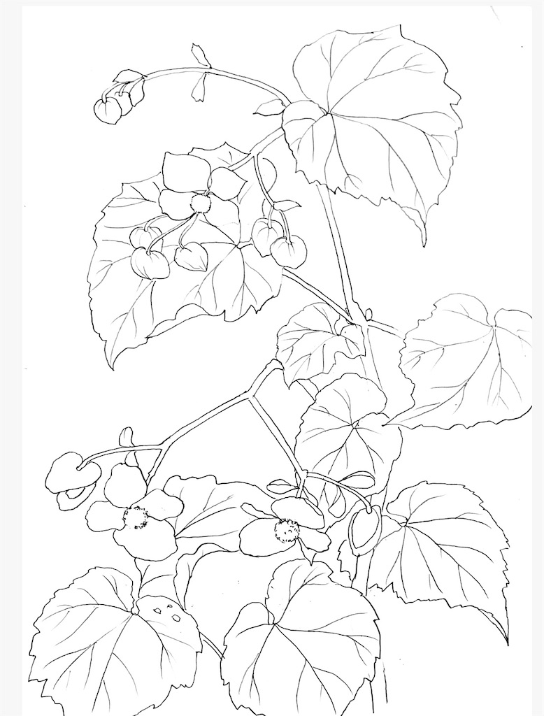 f:id:blossom-art:20200809211202j:image