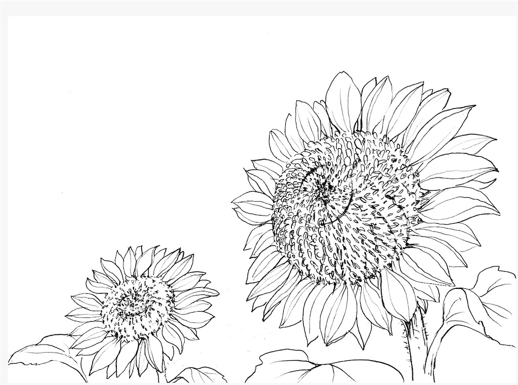 f:id:blossom-art:20200810213318j:image f:id:blossom-art:20200810213318j:image