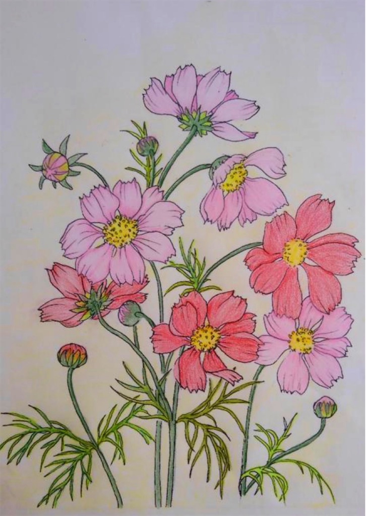 f:id:blossom-art:20200811195839j:image