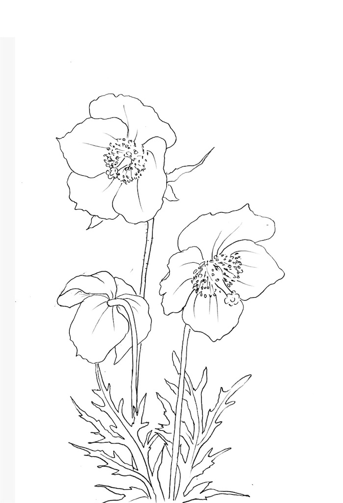 f:id:blossom-art:20200811200944j:image f:id:blossom-art:20200811200944j:image