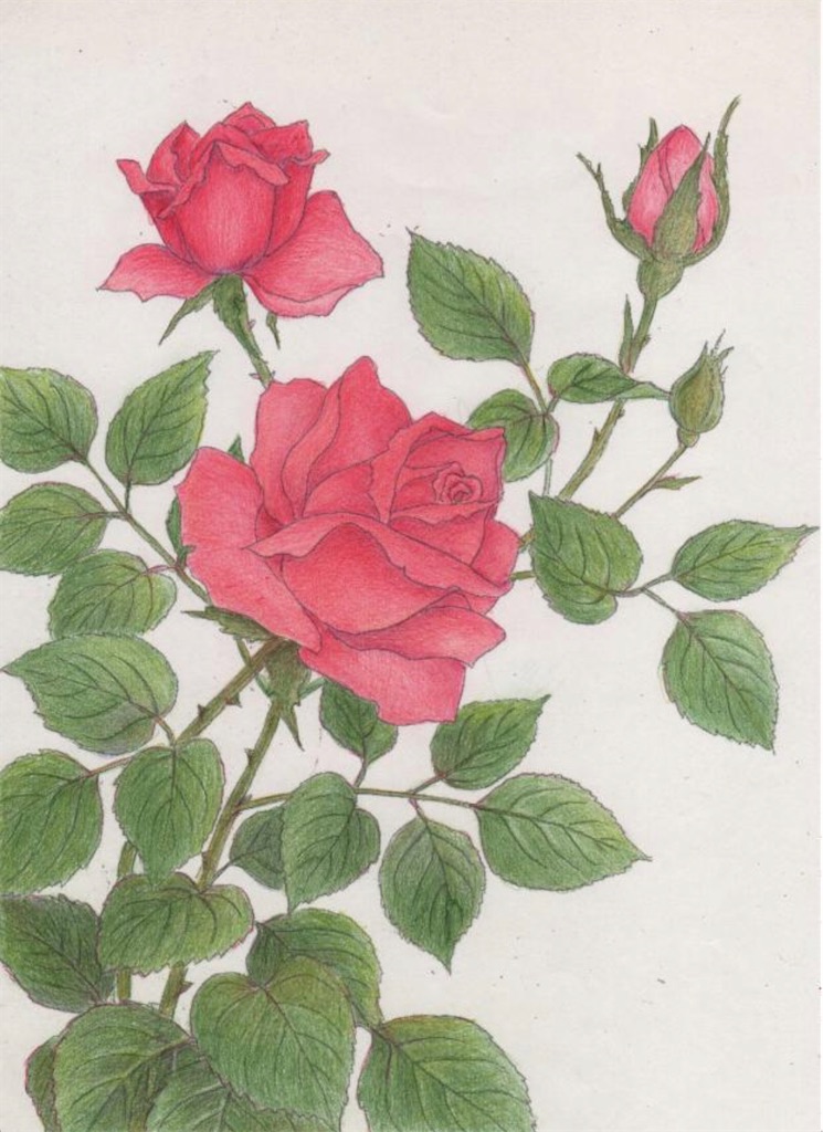 f:id:blossom-art:20200813223005j:image
