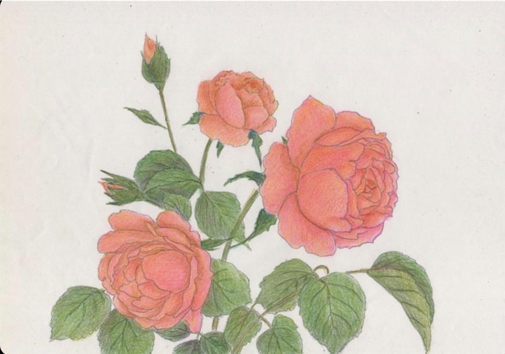 f:id:blossom-art:20200813223025j:image
