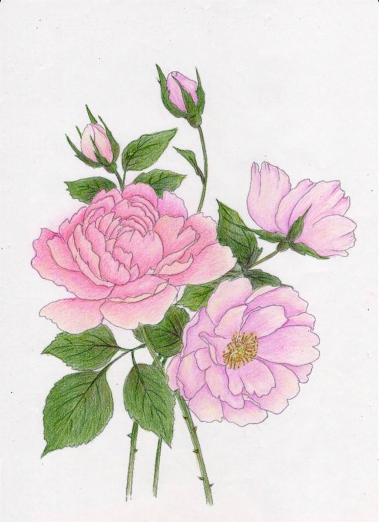 f:id:blossom-art:20200813223047j:image