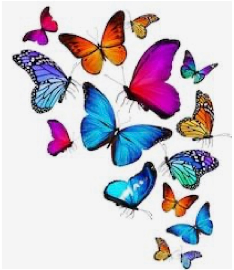 f:id:blossom-art:20200813223417j:image