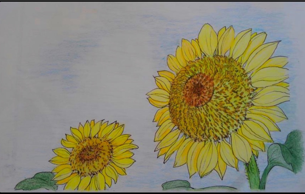 f:id:blossom-art:20200814182522j:image f:id:blossom-art:20200814182522j:image