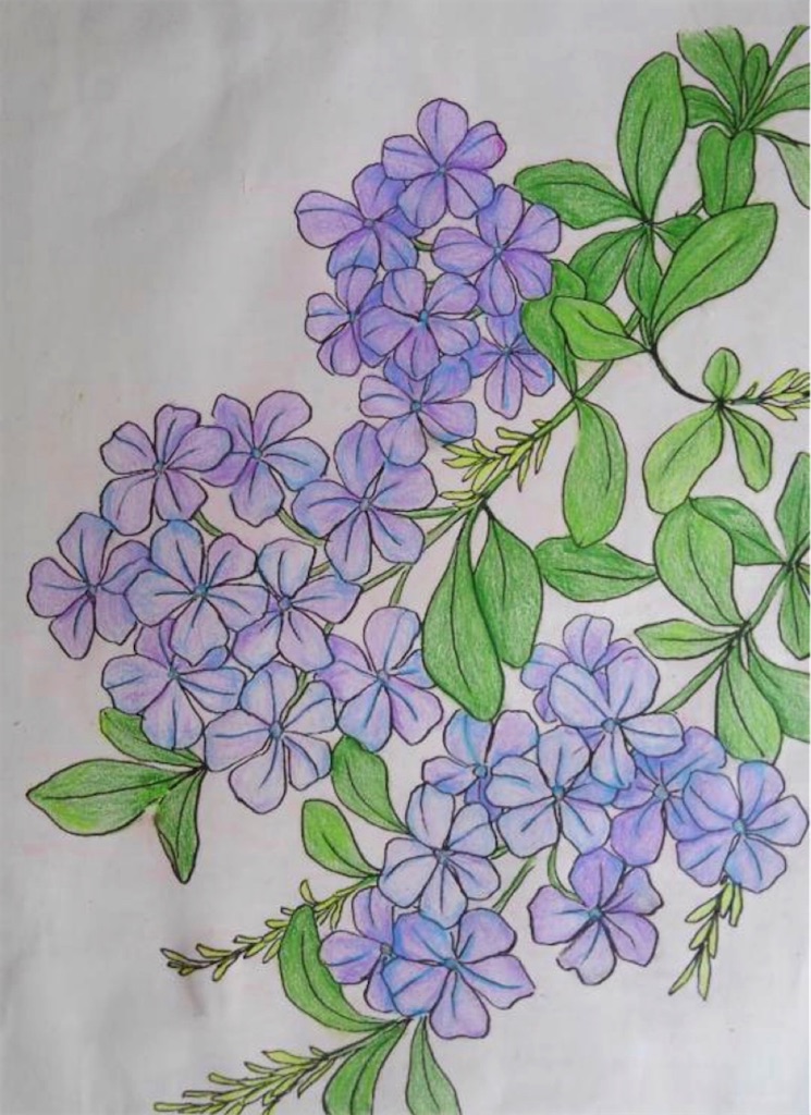 f:id:blossom-art:20200817175456j:image