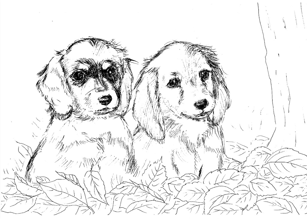 f:id:blossom-art:20200818185203j:image f:id:blossom-art:20200818185203j:image