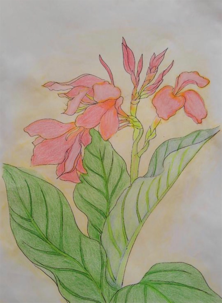 f:id:blossom-art:20200819213006j:image
