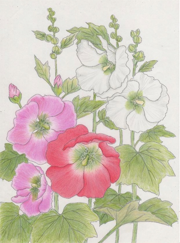 f:id:blossom-art:20200819214248j:image