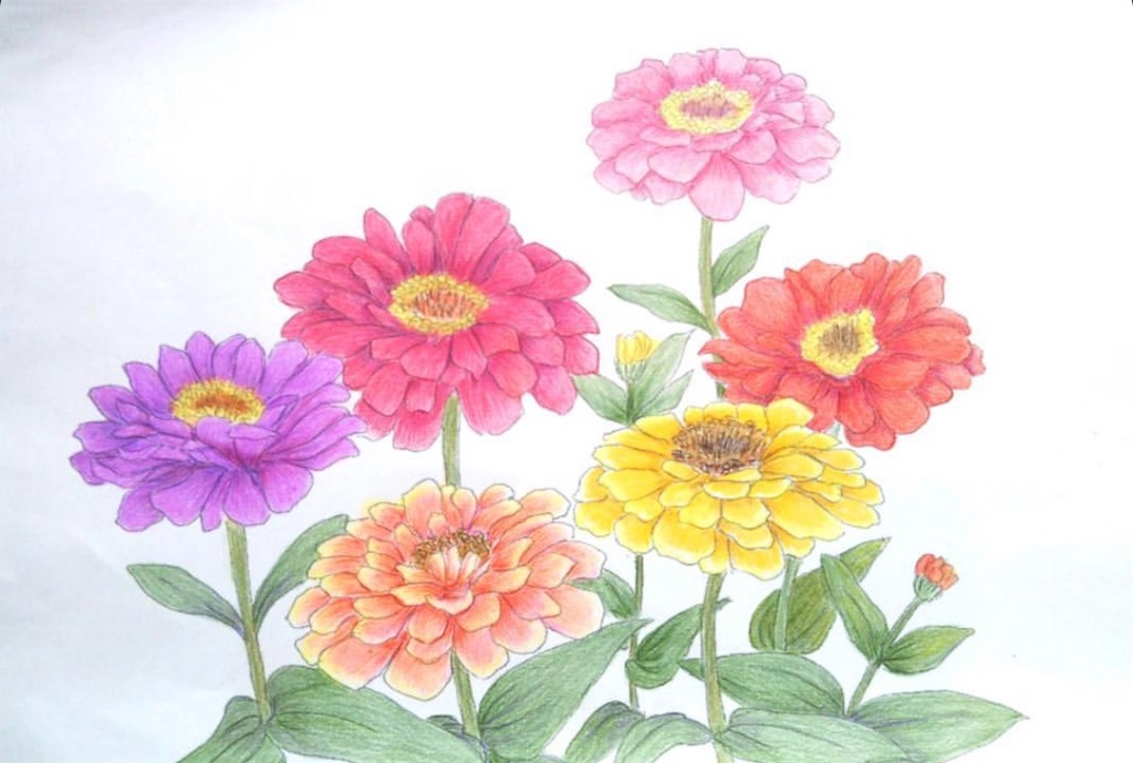f:id:blossom-art:20200819214334j:image