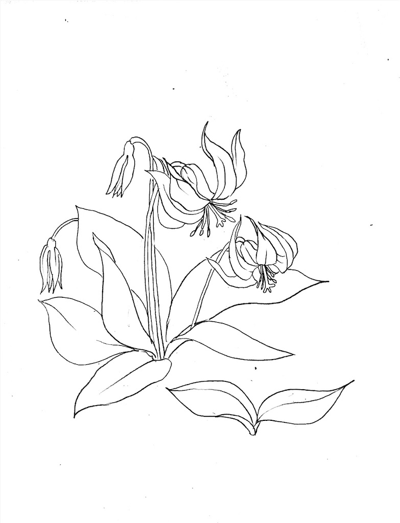 f:id:blossom-art:20200820210136j:image