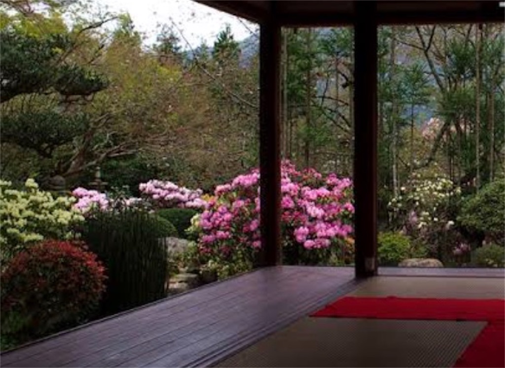 f:id:blossom-art:20200820210446j:image