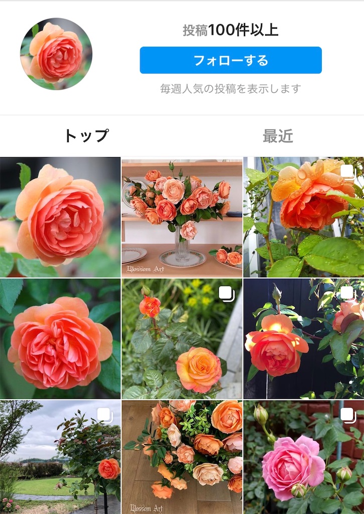 f:id:blossom-art:20200820211057j:image