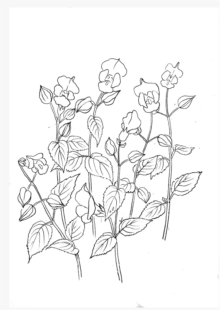 f:id:blossom-art:20200821180851j:image