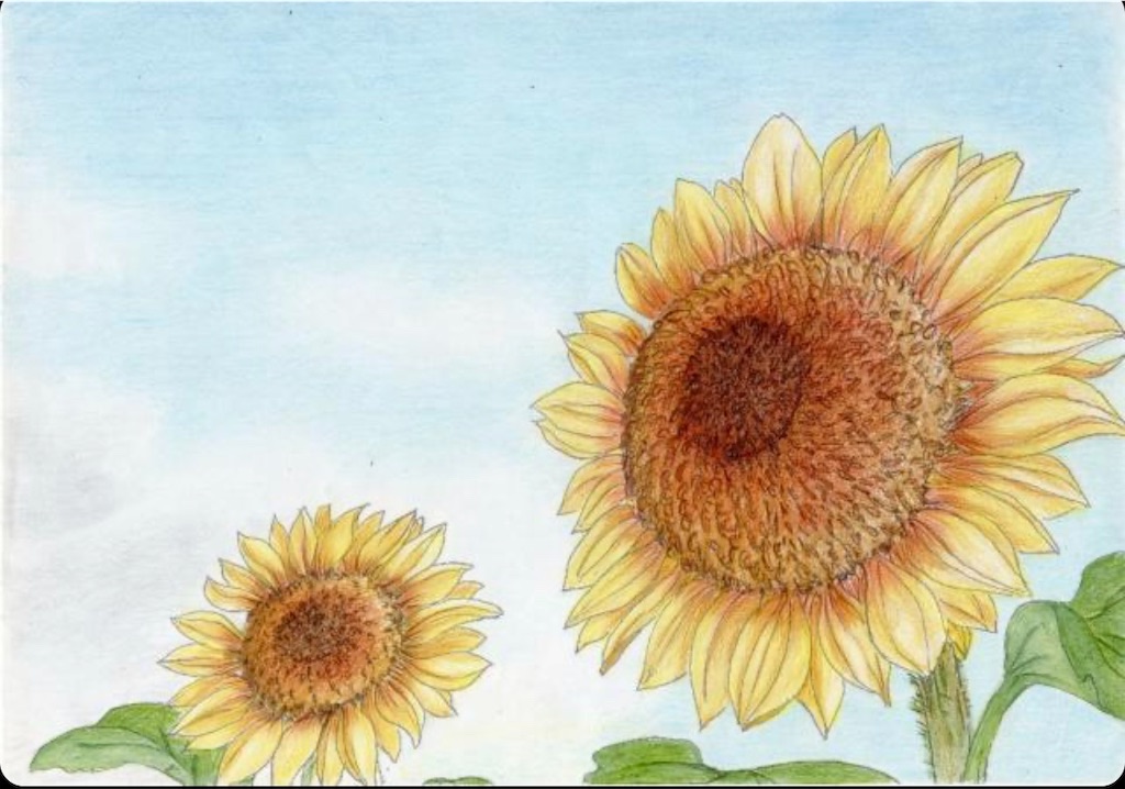 f:id:blossom-art:20200822183137j:image