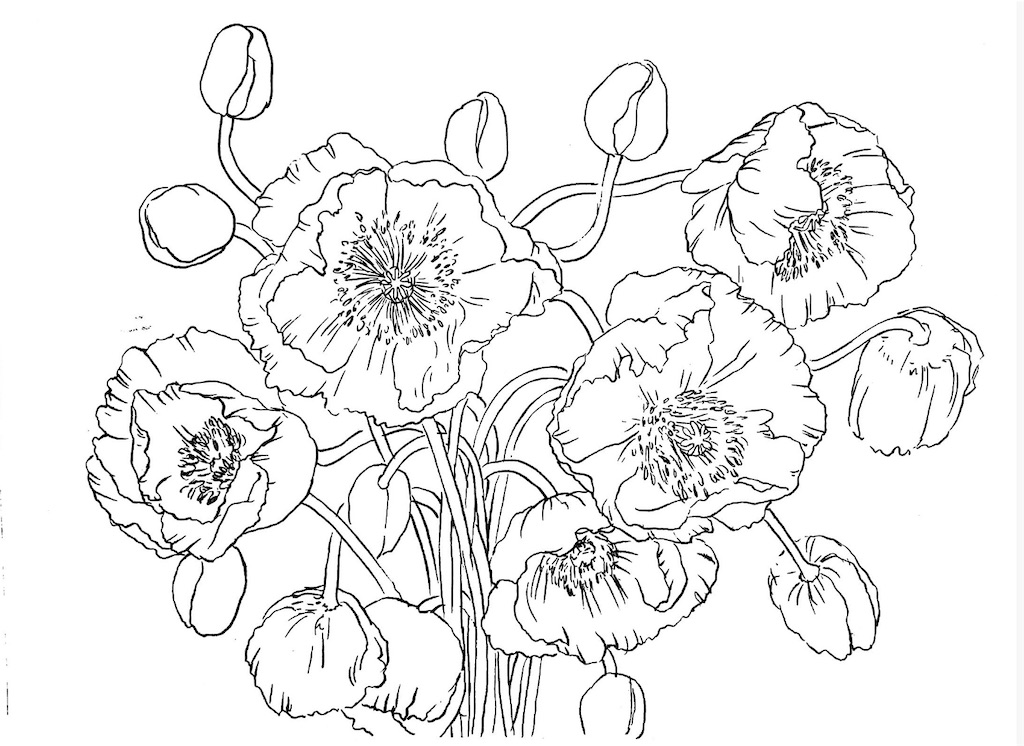 f:id:blossom-art:20200824200441j:image f:id:blossom-art:20200824200441j:image