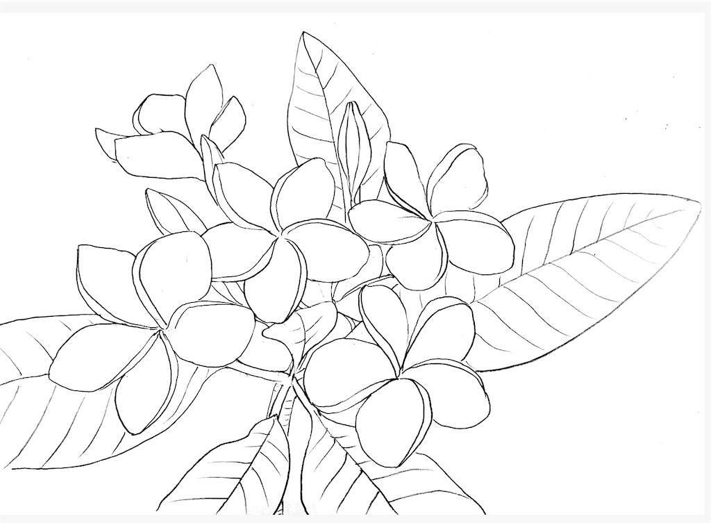 f:id:blossom-art:20200825180804j:image