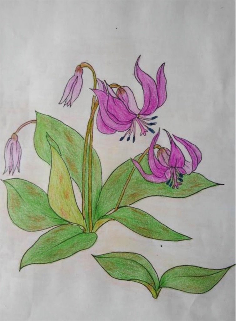 f:id:blossom-art:20200825181030j:image