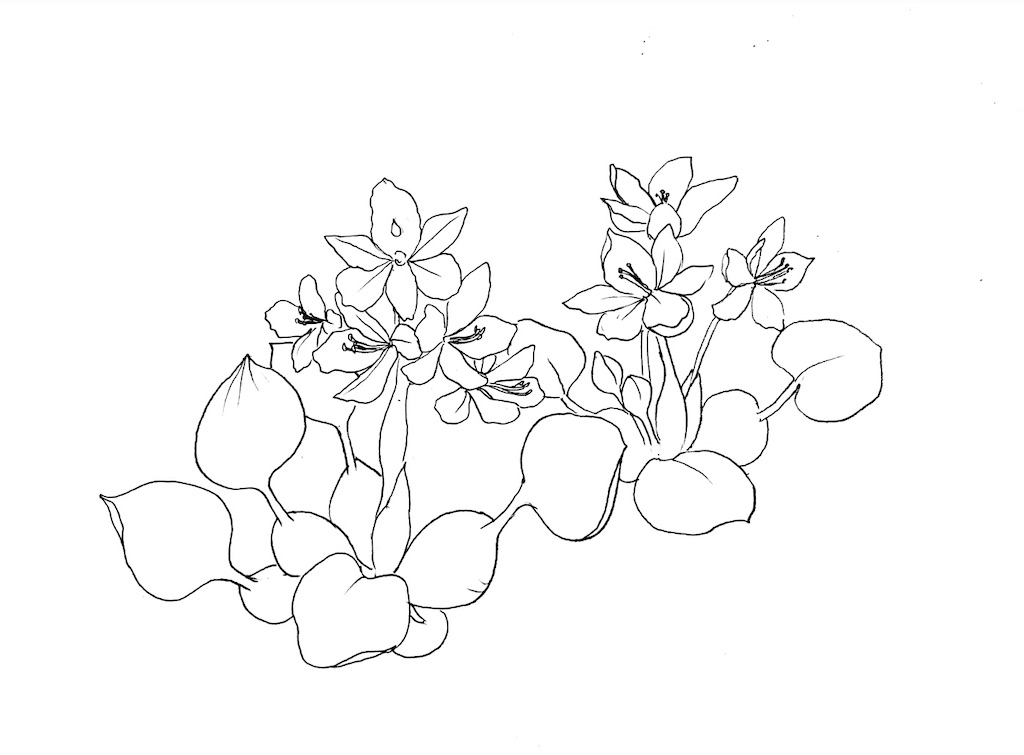 f:id:blossom-art:20200829190525j:image