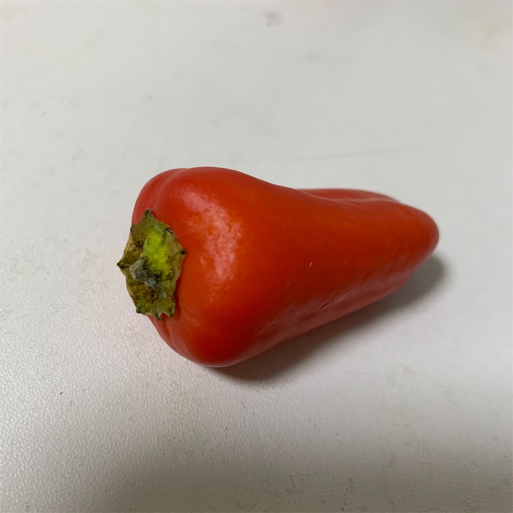 ピーマンママ様絵画３点 960px-Paul_Gauguin_-