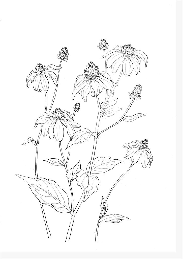 f:id:blossom-art:20200930205215j:image