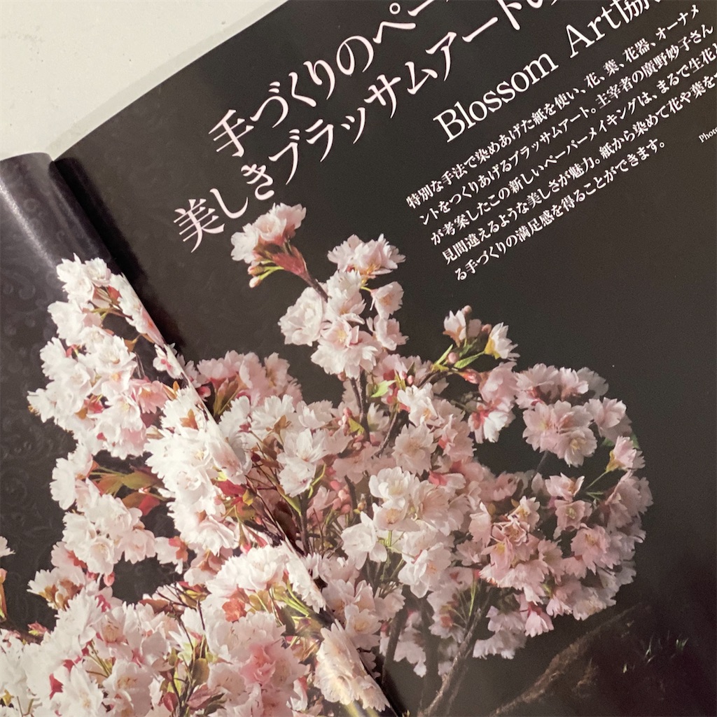 f:id:blossom-art:20201117212418j:image