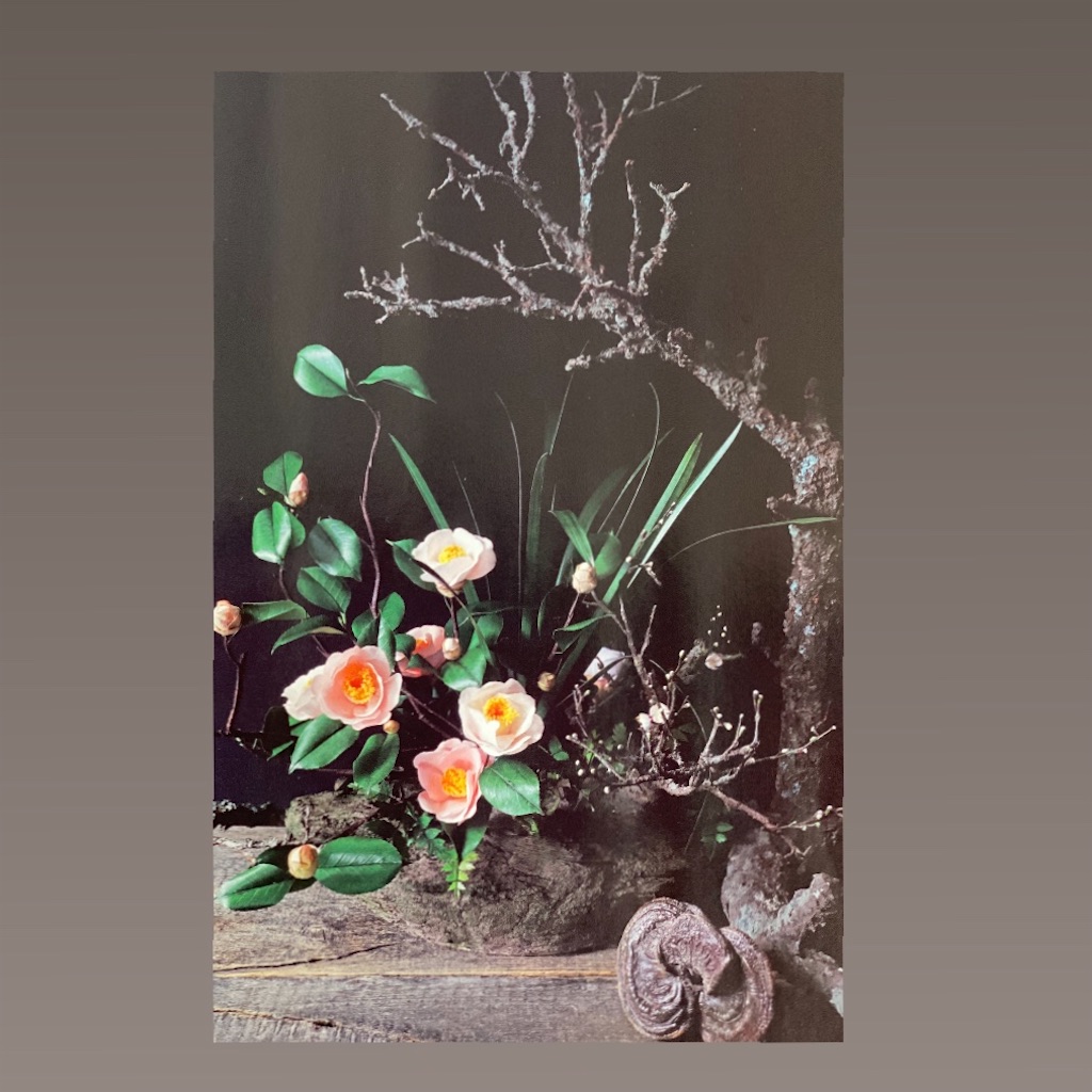 f:id:blossom-art:20201117212444j:image