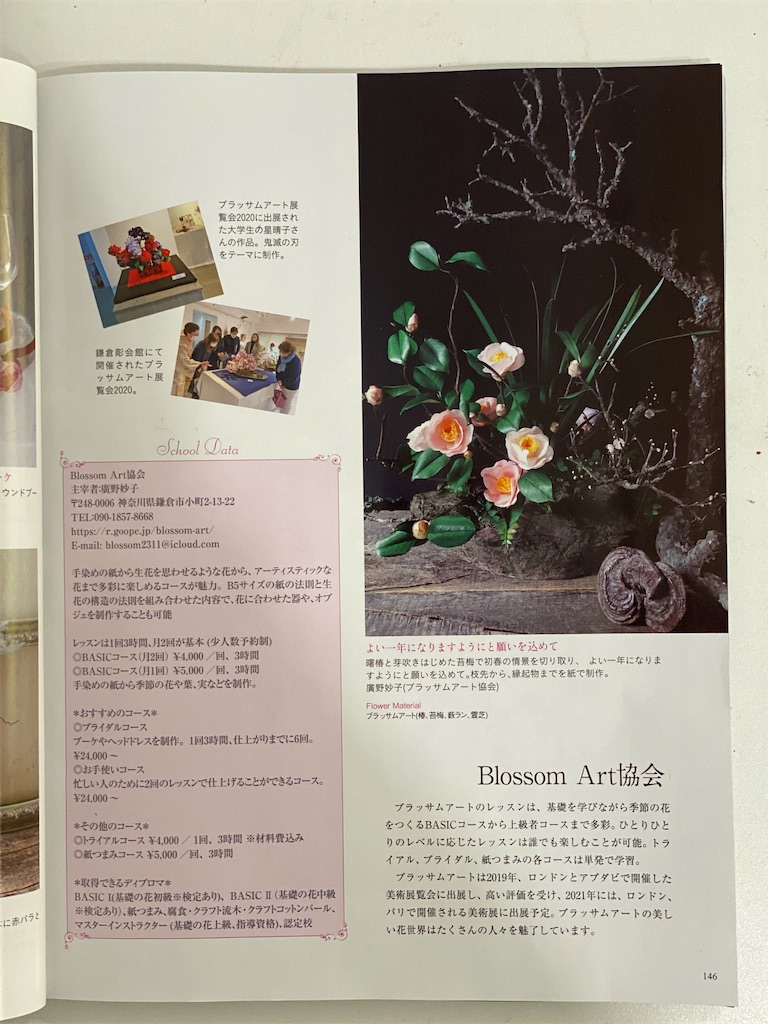 f:id:blossom-art:20201117212624j:image