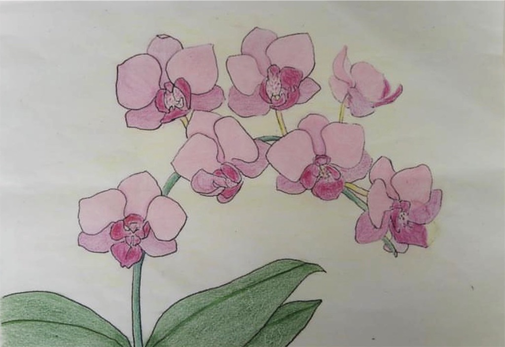 f:id:blossom-art:20201117214633j:image