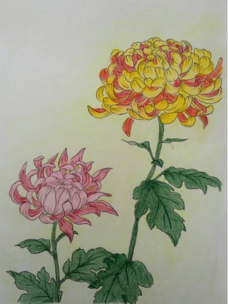 f:id:blossom-art:20201117214819j:image