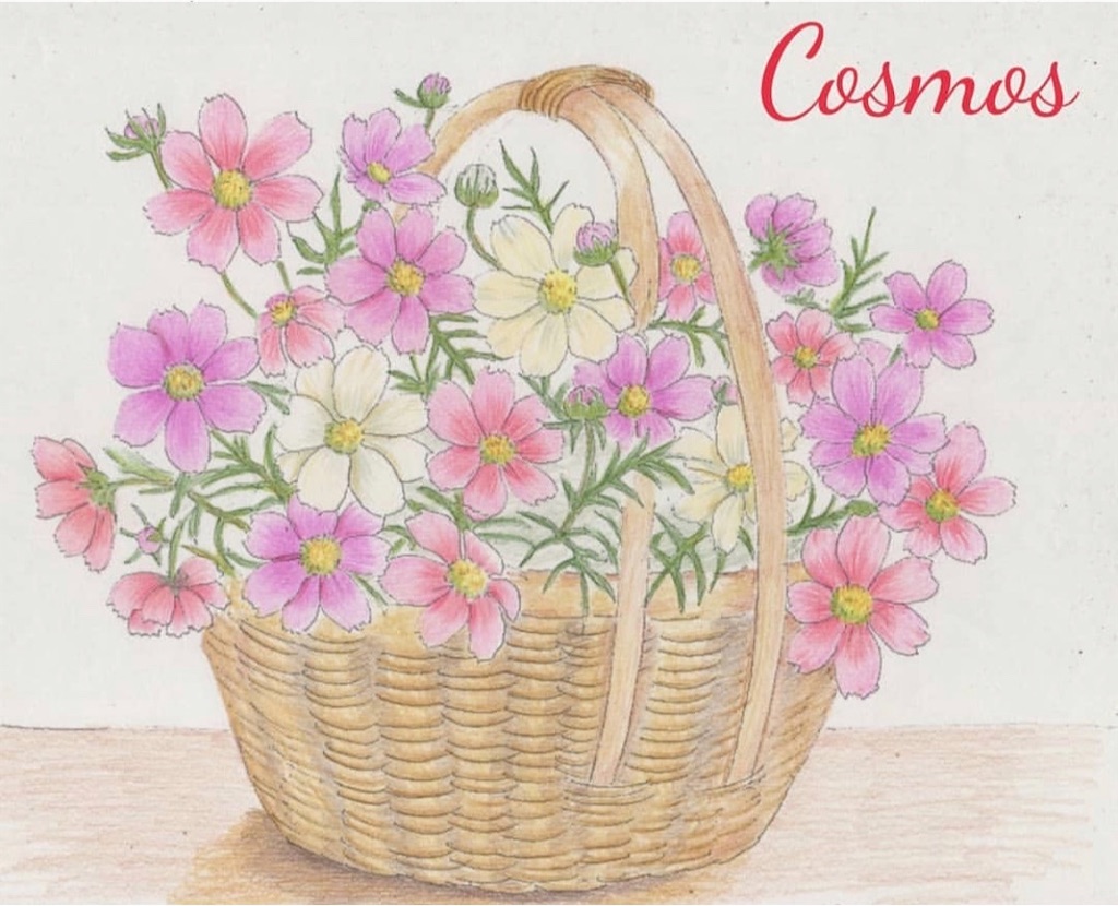 f:id:blossom-art:20201117215657j:image