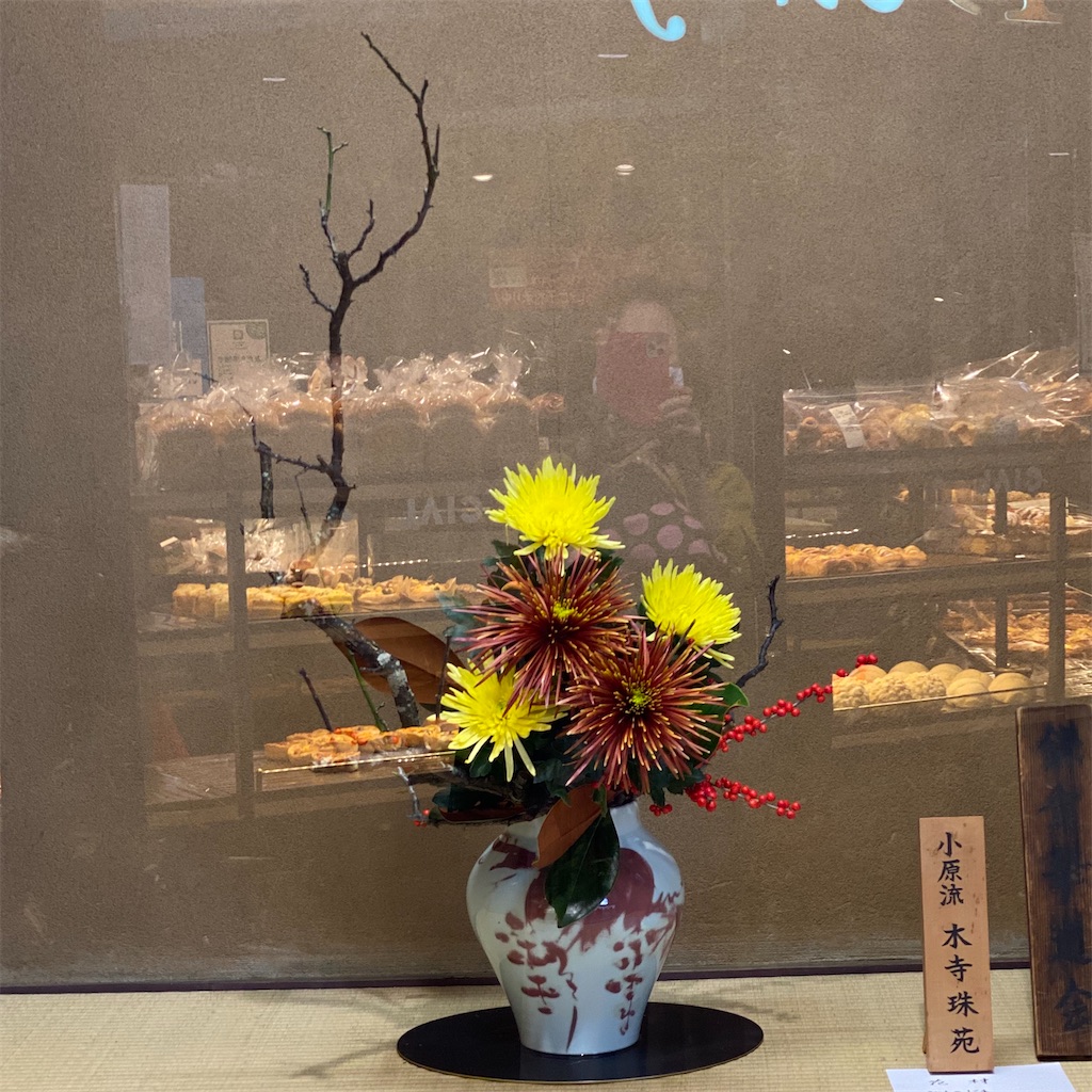 f:id:blossom-art:20201120192336j:image f:id:blossom-art:20201120192336j:image