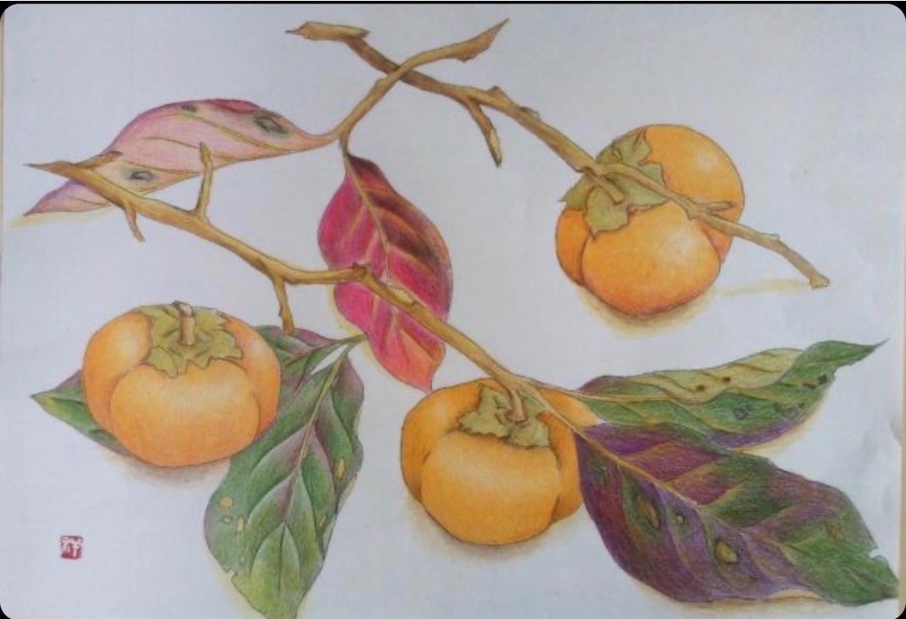 f:id:blossom-art:20201120192631j:image