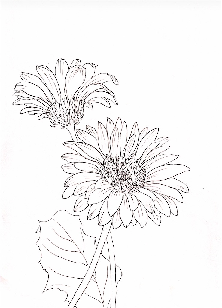 f:id:blossom-art:20201123210305j:image