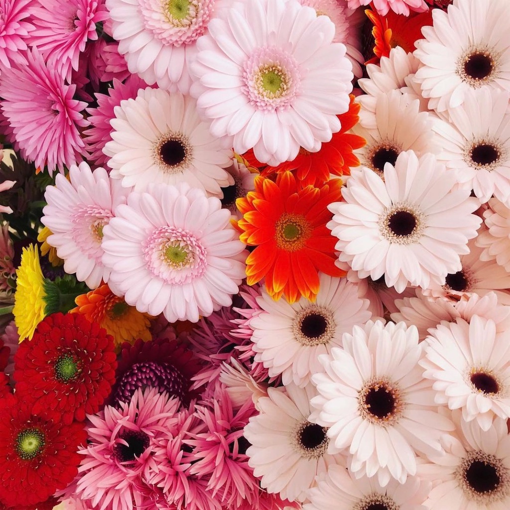 f:id:blossom-art:20201123210535j:image